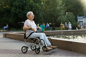 Картинка статьи